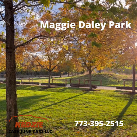 Maggie Daley Park